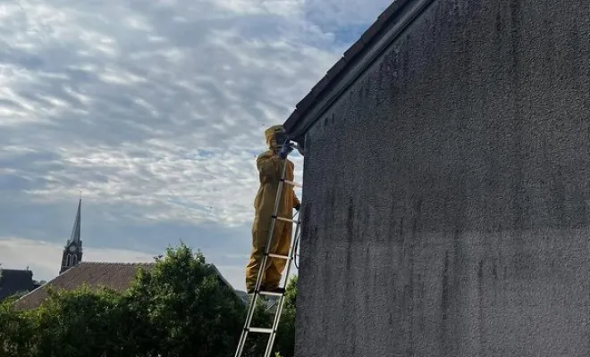 Désinsectisation nids frôlons guêpes, Maubeuge, Destru Nuisibles